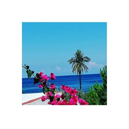 Bed & Breakfast Villino Miraglia Lingua