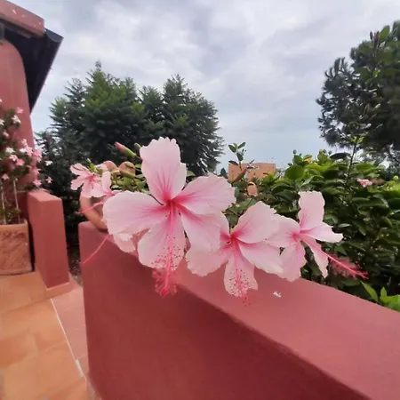 Bed & Breakfast Villino Miraglia *
